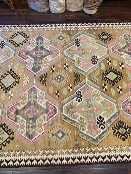 Mut 3.77x1.56